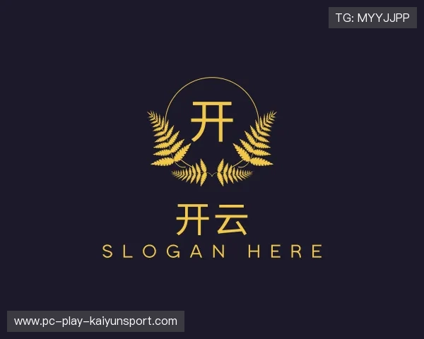解读开云世界杯注册