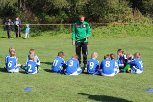 开云在线直播-中国篮球教练员在比赛中决策行为研究，篮球教练员行为准则